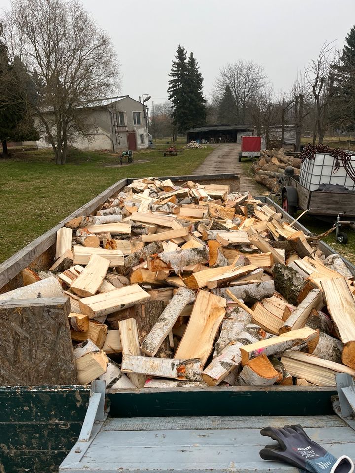 Feuerholz, Kaminholz, Scheitholz zu verkaufen in Schmoelln