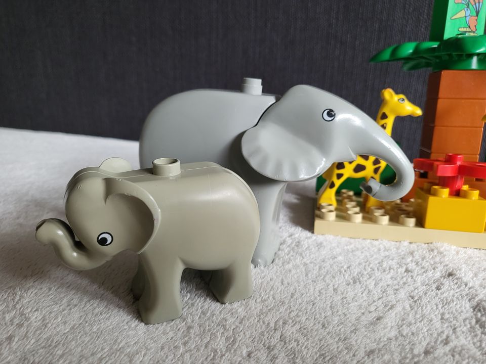 Lego Duplo Safari Tiere + Safari Fahrzeug + Safari Spielfigur in Kempten