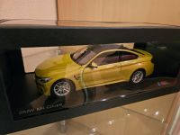 Bmw F82 M4 Coupe 1:18 Händler Modell Thüringen - Sonneberg Vorschau