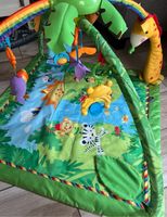 Fisher Price Spielbogen Rainforest Niedersachsen - Meinersen Vorschau