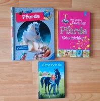 3 Pferde Bücher, Ostwind, wieso weshalb warum... Leipzig - Probstheida Vorschau