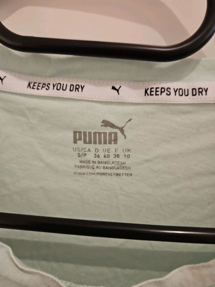 Puma T- Shirt gr 36 gebraucht in Flensburg