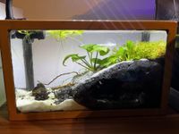 Suche Aquarium / Glasbecken Bayern - Ingolstadt Vorschau