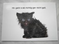 Katze Postkarte Föritztal - Neuhaus-Schierschnitz Vorschau