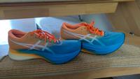 Asics Metaspeed Edge+ Neustadt - Buntentor Vorschau