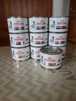 10 Dosen Royal Canin Hepatic 200g Bayern - Wiedergeltingen Vorschau