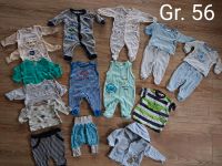 Babysachen Gr. 56/Langarmshirts/Hosen/Jacke/Strampler/Schlafanzug Niedersachsen - Lamspringe Vorschau