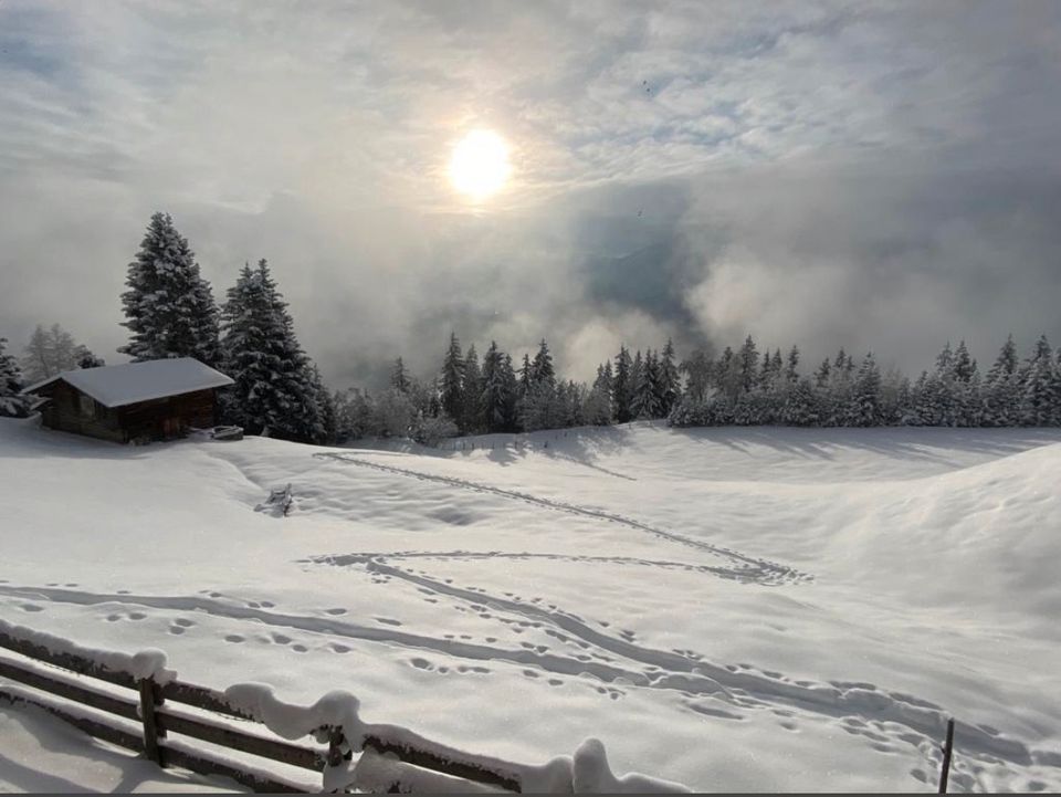 Skihütte Almhütte Berghütte Wohnungen ❤️ ZILLERTAL Tirol in München