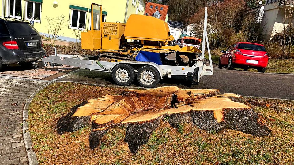 Wurzelstock entfernen Baumstumpf fräsen Wurzelfräsen - OHNE ANFAHRTSKOSTEN in Eppishausen