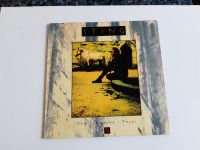 Vinyl Sammlung Hier LP Sting / Ten Summoner`s Tales (fast Neu Hessen - Mühlheim am Main Vorschau