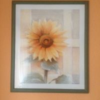Bilderrahmen mit Bild Sonnenblume Sachsen-Anhalt - Jerichow Vorschau