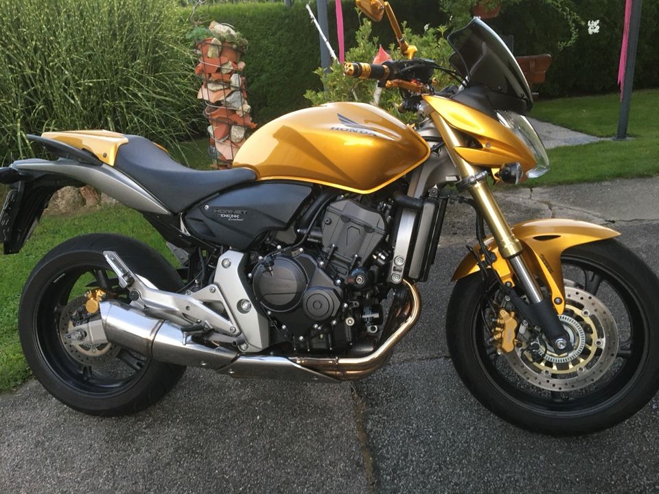 Honda CB 600 Hornet, PC 41, 4- Zylinder, Gold in Bayerbach