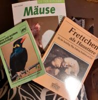 Buch Frettchen Hessen - Offenbach Vorschau