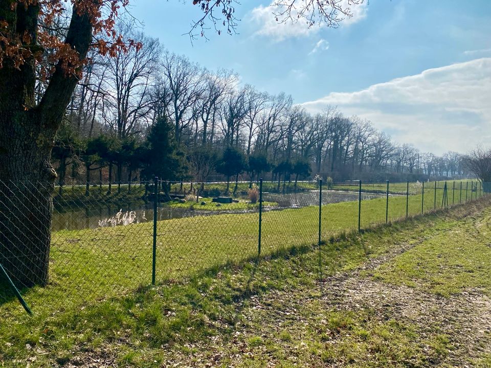 Teich Grundstück zu verkaufen in Sassenburg