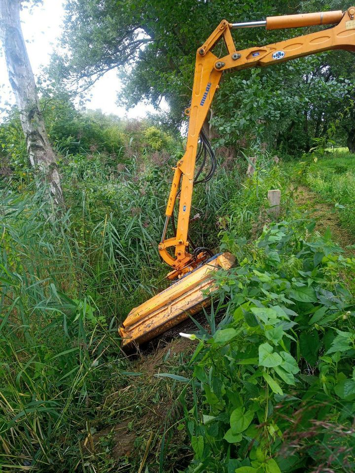 Mulcharbeiten Mulchen Auslegemulcher Böschungsmulcher in Stelle