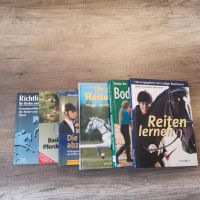 Reitsport Bücher Nordrhein-Westfalen - Bergkamen Vorschau