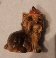 Goebel Yorkshire Terrier Figur glänzend Essen - Essen-Borbeck Vorschau