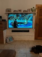 Massivholz Schmaler TV Unterbau mit Fach für Soundbar Niedersachsen - Alfeld (Leine) Vorschau