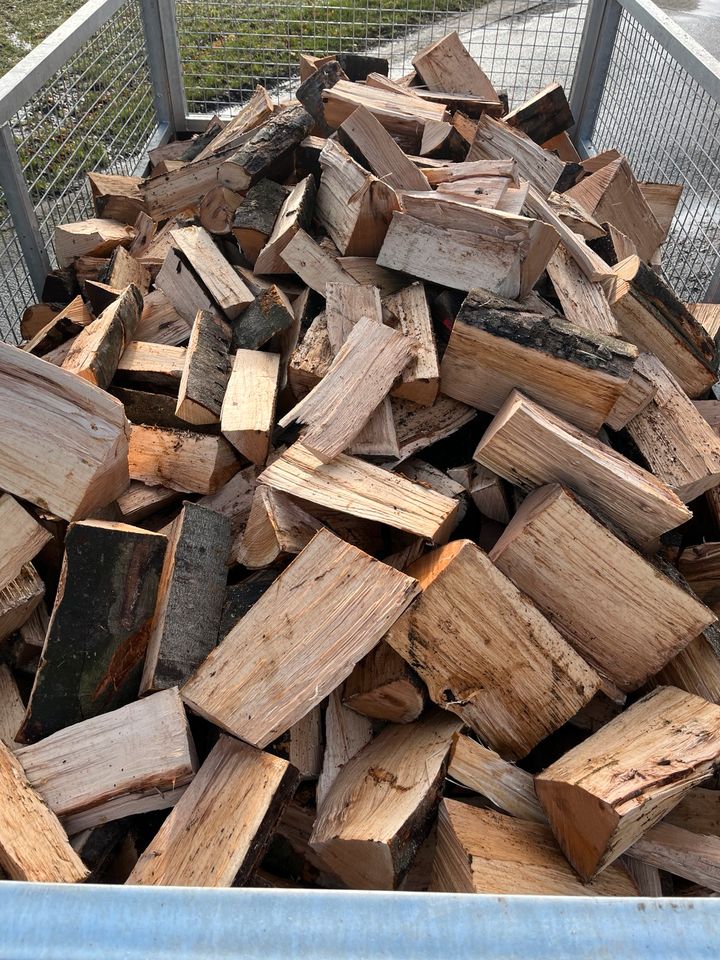 Brennholz Kaminholz Ofenholz Buche Frisch Hartholz Feuerholz in Stadthagen