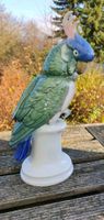 Porzellan Figur Karl ENS Papagei Vogel handbemalt 25cm Top Nordrhein-Westfalen - Niederkassel Vorschau