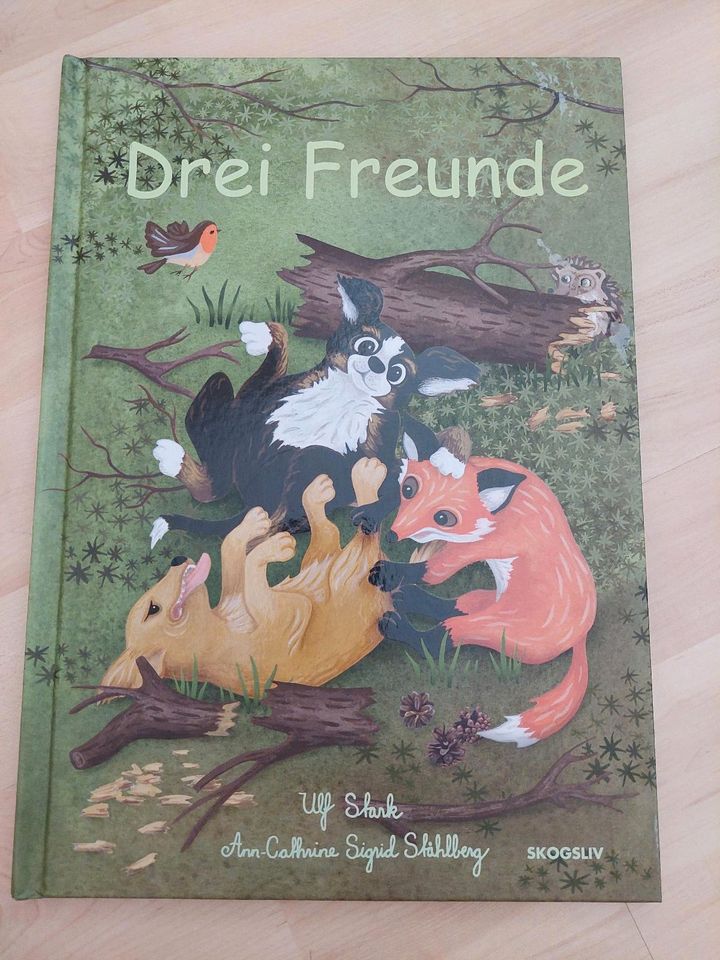 Kinderbuch Drei Freunde in Litzendorf