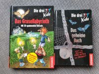 Die drei Fragezeichen Kids das geheime Buch Grusellabyrinth Rätse Schleswig-Holstein - Ammersbek Vorschau