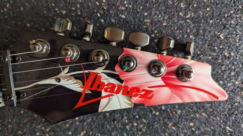 Ibanez RG320FM - Custom Floral Pattern in Kusterdingen