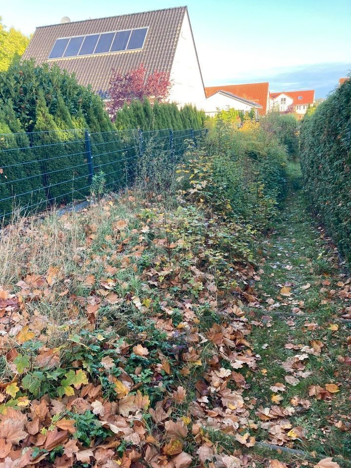 Gartenpflege-Gärtner-Garten,Hecken,Gehölze, Rasenpflege. Gärtner in Celle