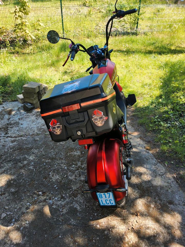 Elektro-Scooter – Coco Bike CP-6 Straßenzulassung in Böhlen
