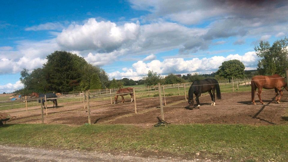 Pferdeboxen in Welzheim