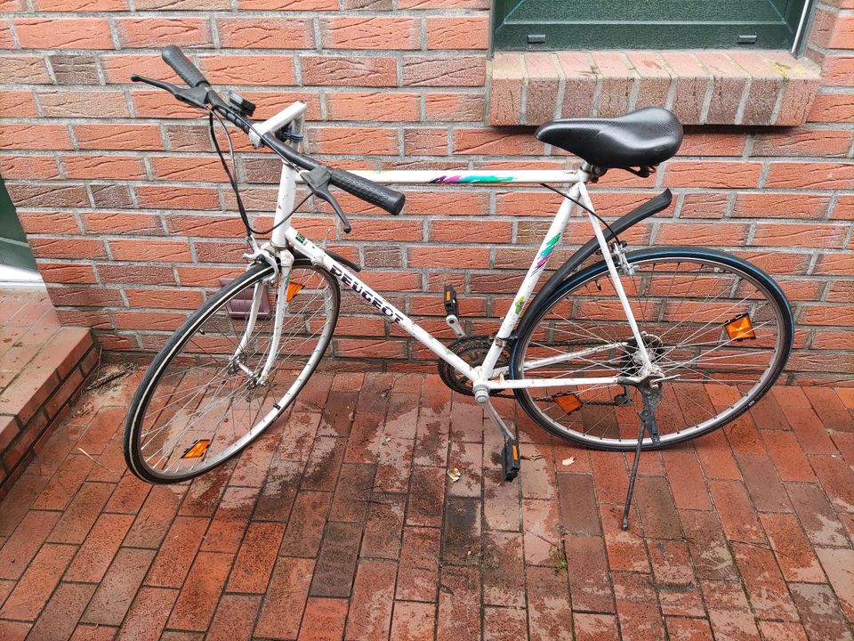 Peugeot Fahrrad Garagenfund in Wildeshausen