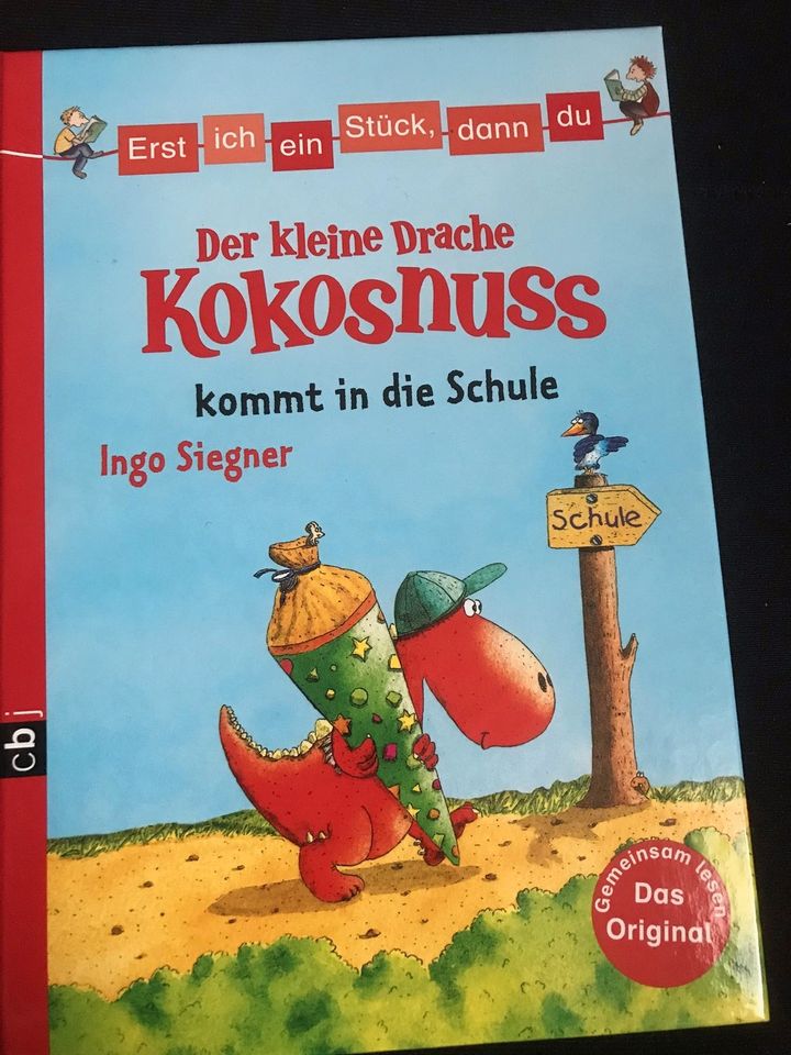 Der Kleine Drache Kokosnuss Kinderbuch in Niefern-Öschelbronn