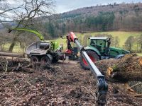 Hackschnitzel Jenz Energieholz Baumfällung Heizung Hessen - Wesertal Vorschau