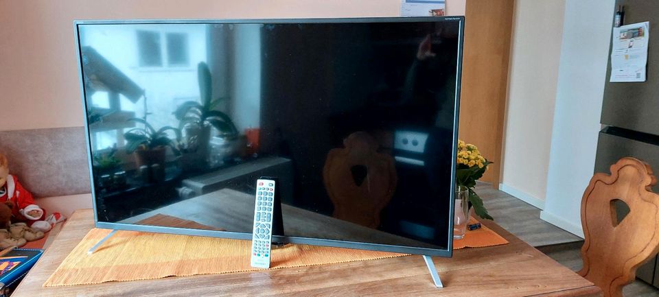 Fernseher Sharp  43 Zoll 43BL3EA, 4K , gebr in Twedt b Schleswig