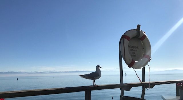 Urlaub: 2 schöne Ferienwohnungen in Friedrichshafen am Bodensee in Friedrichshafen