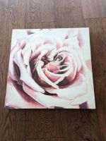 Leinwandbild Rose 45x45 Bayern - Sonthofen Vorschau