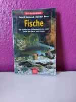 Buch Fische Die heimischen Süßwasserfische sowie Arten der Nord- Hessen - Taunusstein Vorschau