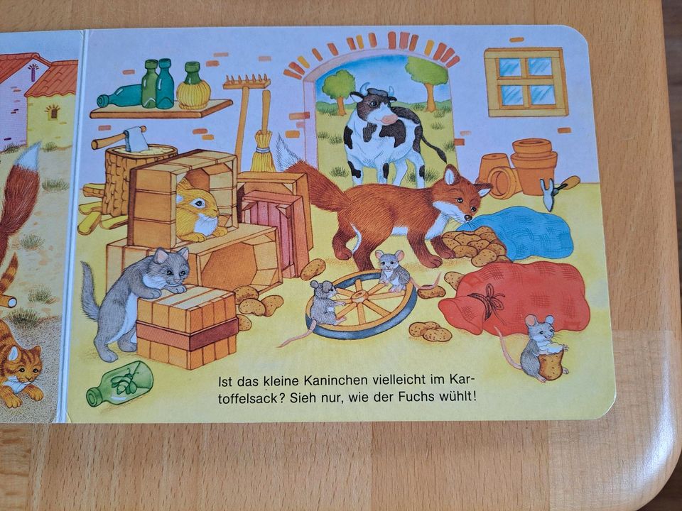 Buch, Kinderbuch Kleinkind in Bassum