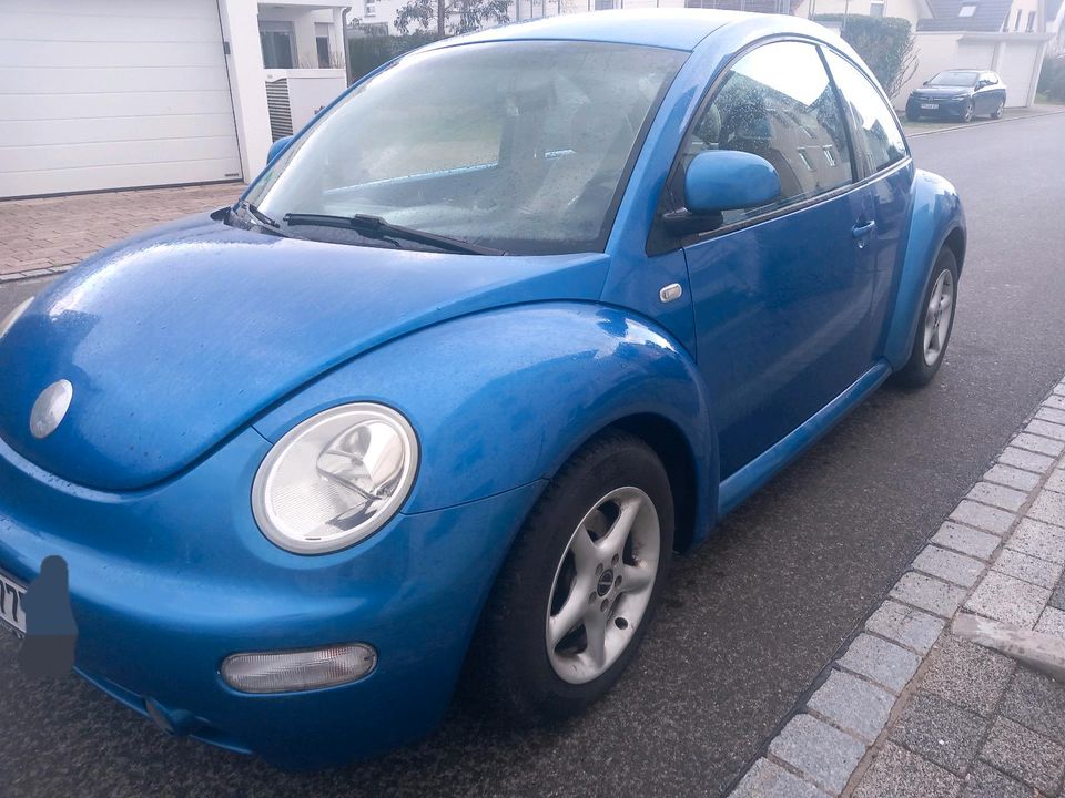 VW New Beetle in Meckenbeuren