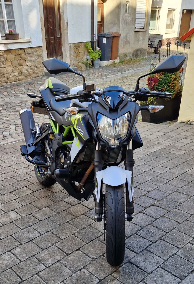 Kawasaki Z 125 in Meisenheim