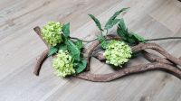 Künstlicher Schneeball*Textilblumen*Kunstblume, hellgrün, 67cm Nordrhein-Westfalen - Geilenkirchen Vorschau