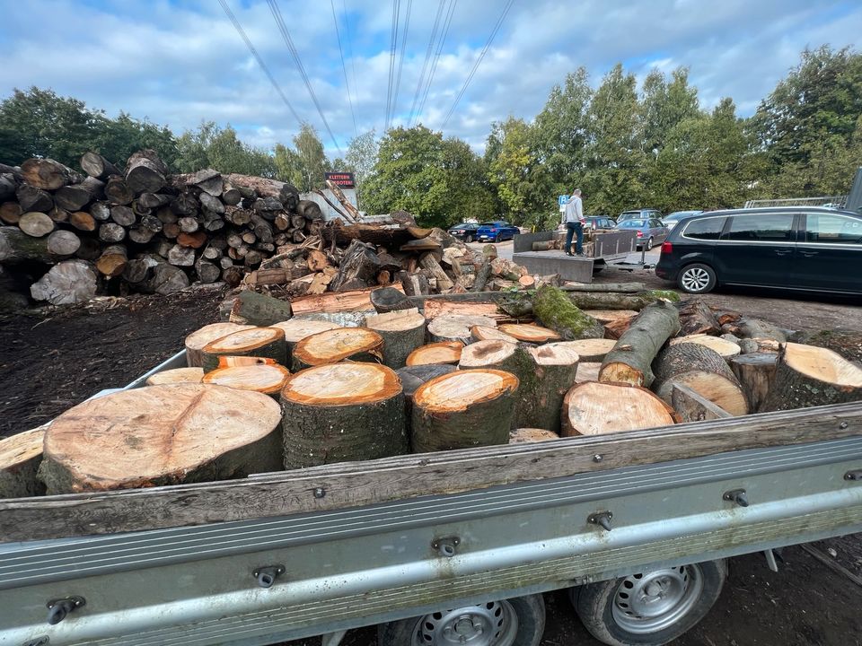 Brennholz Feuerholz Stammholz in Witten