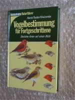 Vogelbestimmung für Fortgeschrittene - Ähnliche Arten auf einen B Bayern - Olching Vorschau