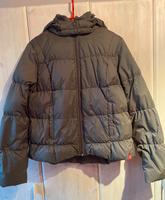 Daunenjacke von edc, XL, braun Nordrhein-Westfalen - Kreuztal Vorschau