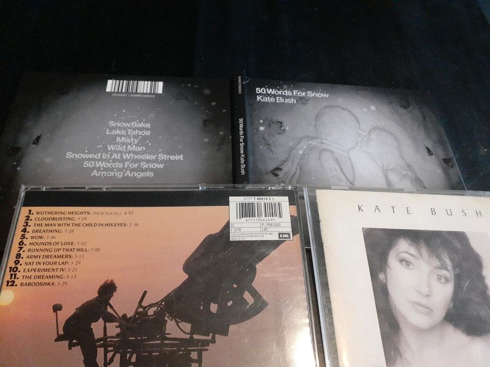 LP / CD - Sammlung KATE BUSH in Sankt Augustin