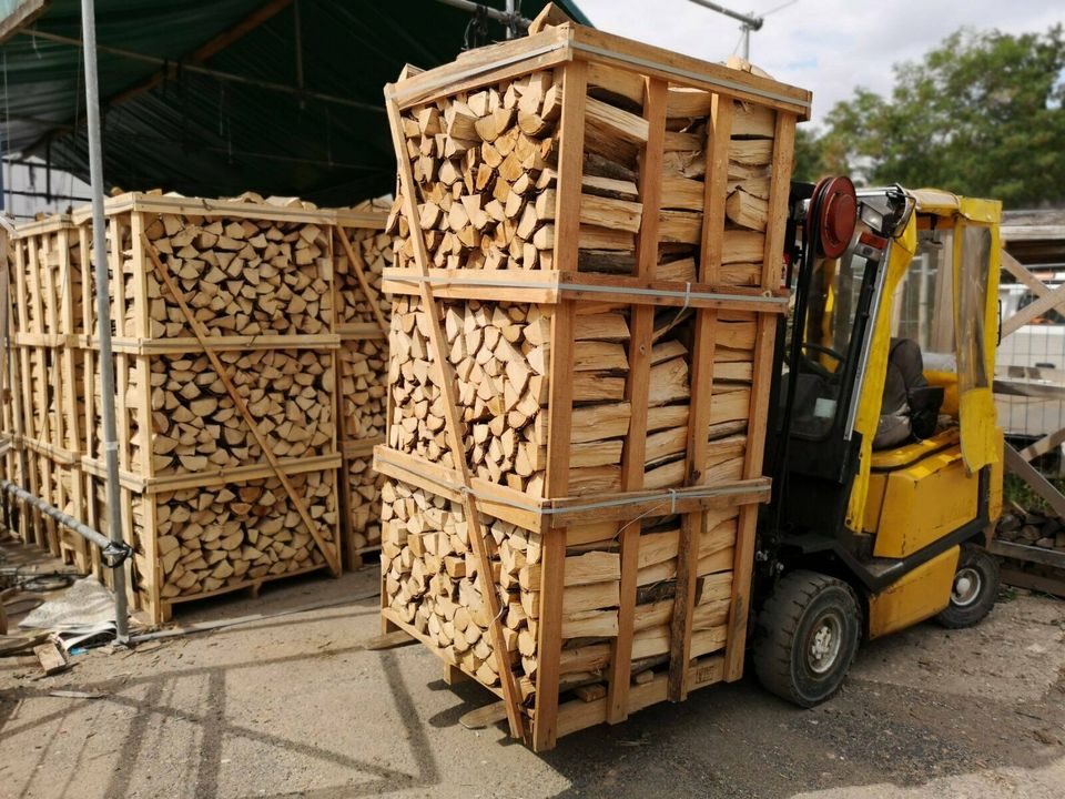 Brennholz / Kaminholz Buche trocken 33cm/25cm, Lieferung möglich in Köln