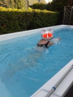 Pool mit Gegenstromanlage und whirlpool- (SwimSpa) Bayern - Kalchreuth Vorschau