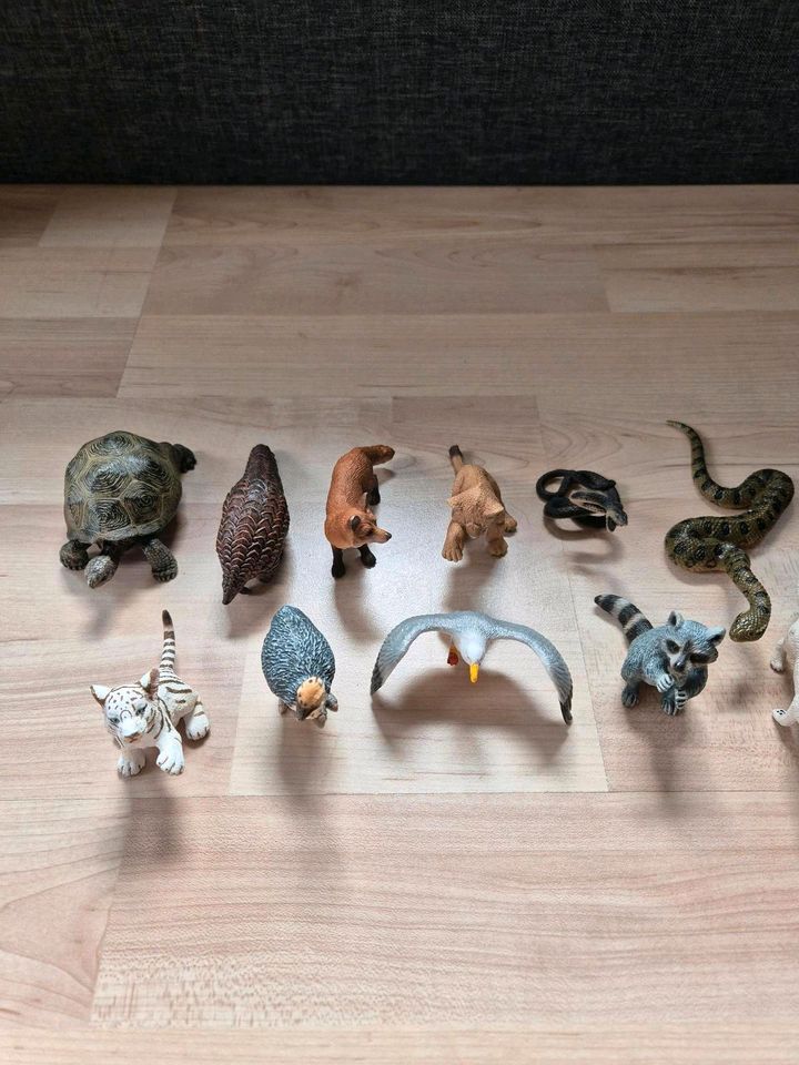 Schleich Figuren Wildlife in Hofgeismar