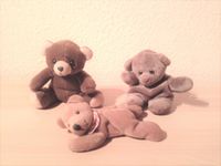 Teddys Stoffteddys . Pro Teddy 3 € Festpreis Schleswig-Holstein - Lübeck Vorschau