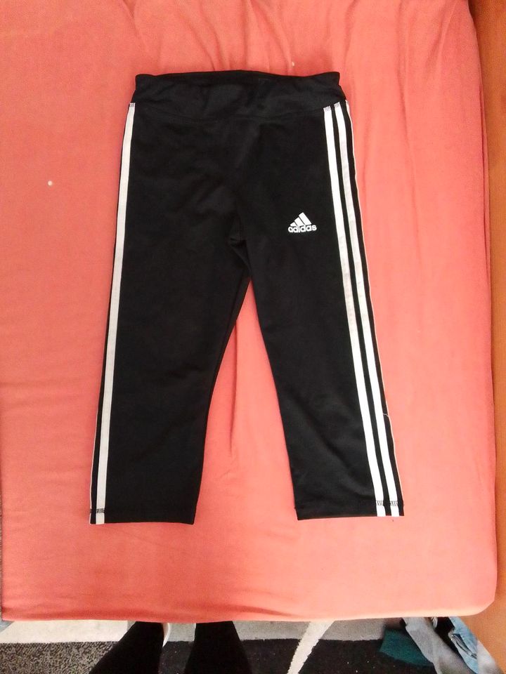 Adidas, dreiviertel Hose(164), Leggings und T-Shirt(38) in Eggesin